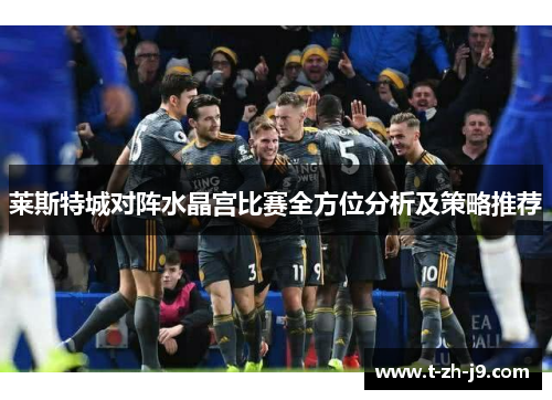 莱斯特城对阵水晶宫比赛全方位分析及策略推荐 莱斯特城对阵水晶宫比赛全方位分析及策略推荐