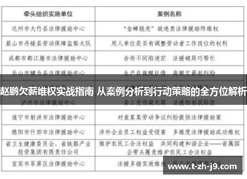 赵鹏欠薪维权实战指南 从案例分析到行动策略的全方位解析