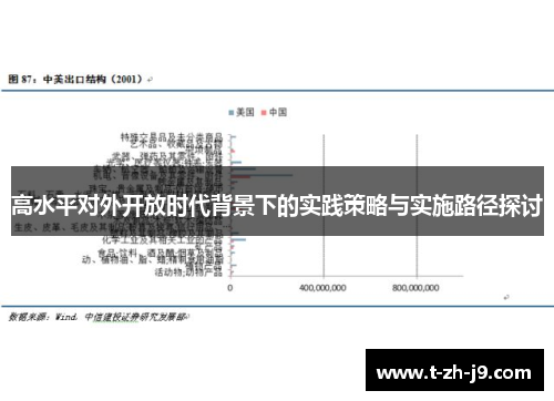 高水平对外开放时代背景下的实践策略与实施路径探讨